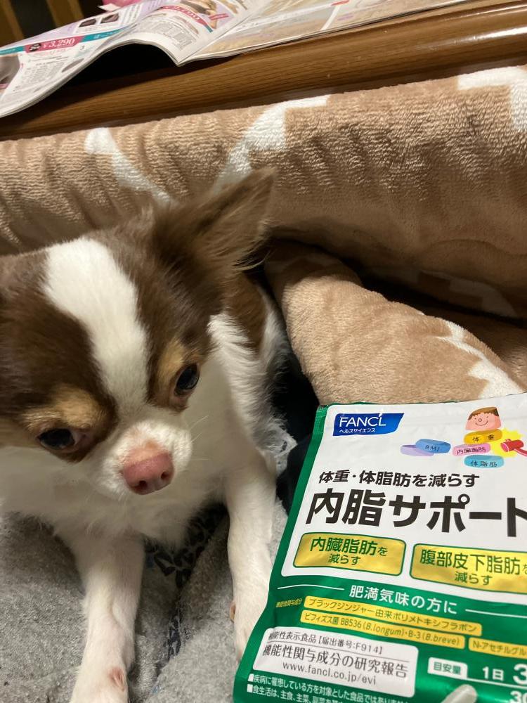 あきにゃん2147ないしサポート 内脂サポートの口コミ│無添加化粧品・健康食品・サプリメント通販の